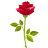 roseducoeur Rose10
